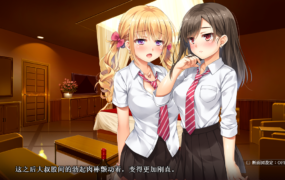 [ADV汉化动态] なりゆき→パパ活GIRLS JK姐妹盖饭惠里和千寻的援交日记~完美汉化硬盘版[电脑1.12G/FM/BD]